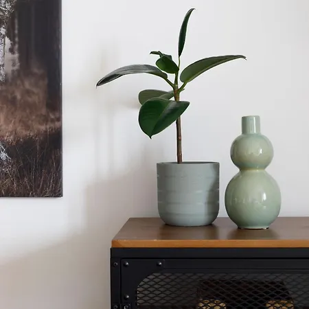 Premium 156 公寓 *