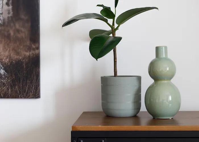 Premium 156 アパート *